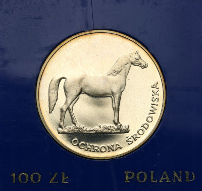 PRL 100 złotych 1981 Koń