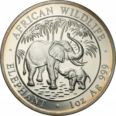 Somalia 100 shillings 2007 (SREBRO - uncja) st.L