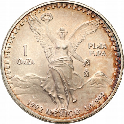 Meksyk 1992 - SREBRO uncja - st.1