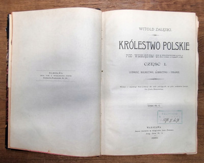 KRÓLESTWO POLSKIE POD WZGLĘDEM STAT. Warszawa 1900