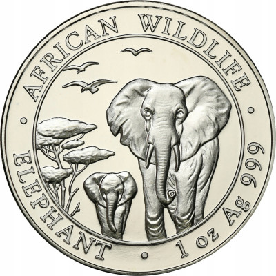 Somalia 100 szylingów 2015 słoń SREBRO uncja st.L