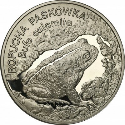 III RP. 20 złotych 1998 Ropucha Paskówka