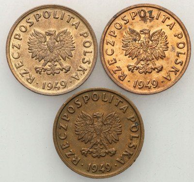 PRL 5 groszy 1949 brąz - 3 sztuk z rulonu