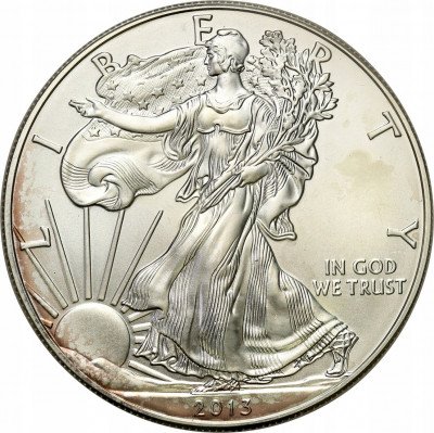USA 1 dolar 2013 Liberty (SREBRO - uncja) st.1
