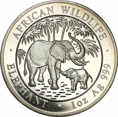 Somalia 100 Shillings 2007 słoń (SREBRO uncja) st1