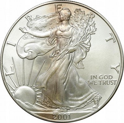 USA 1 dolar 2001 Liberty SREBRO - uncja
