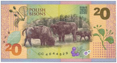 Polskie Żubry - banknot testowy PWPW