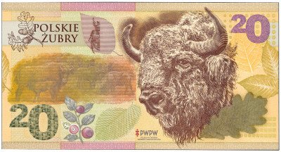 Polskie Żubry - banknot testowy PWPW