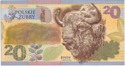 Polskie Żubry - banknot testowy PWPW