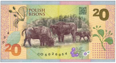 Polskie Żubry - banknot testowy PWPW