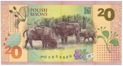 Polskie Żubry - banknot testowy PWPW