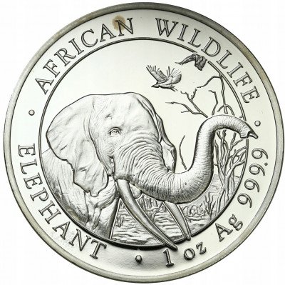 Somalia 100 shillings 2018 słoń SREBRO uncja