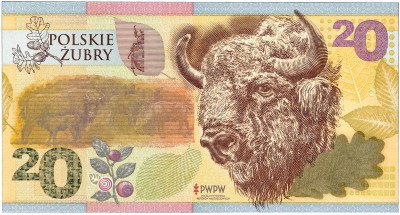 Polskie Żubry - banknot testowy PWPW