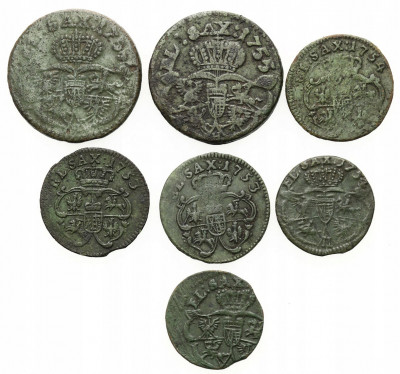 August III Sas. Szeląg i grosze 1753–1755 7 sztuk
