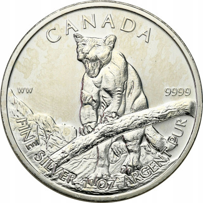 Kanada 5 dolarów 2012 pantera 1 uncja SREBRO