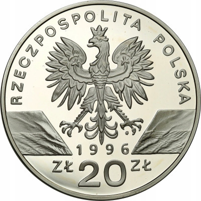 20 złotych 1996 Jeż