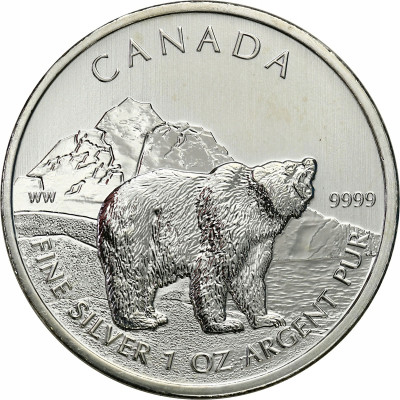 Kanada 5 dolarów 2011 niedźwiedź 1 uncja SREBRO