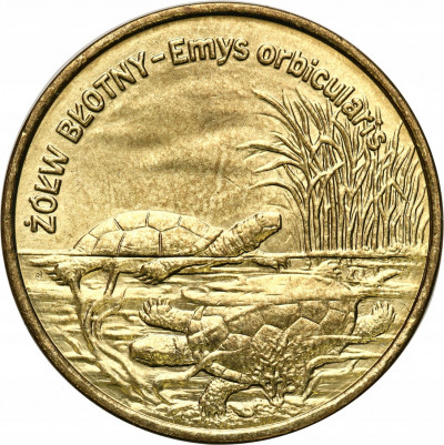 2 złote 2002 żółw błotny
