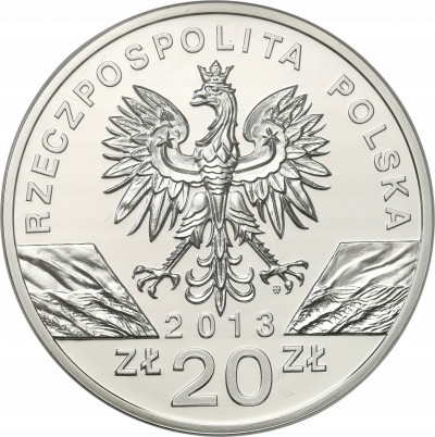 20 złotych 2013 Żubr