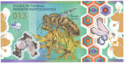 PWPW banknot testowy 2012 (plastik) pszczoła 013