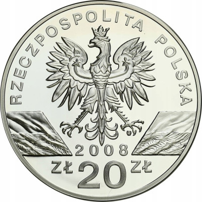 20 złotych 2008 Sokół Wędrowny