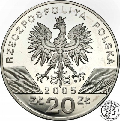 20 złotych 2005 Puchacz
