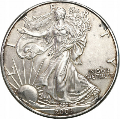 USA 1 dolar 2003 SREBRO uncja
