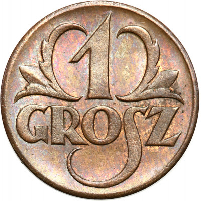 II RP. 1 grosz 1923 - WYŚMIENITY