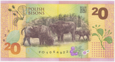 Banknot testowy PWPW - Polskie Żubry