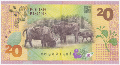 Banknot testowy PWPW - Polskie Żubry