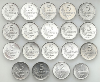 PRL. 5 groszy 1949 - zestaw 19 monet