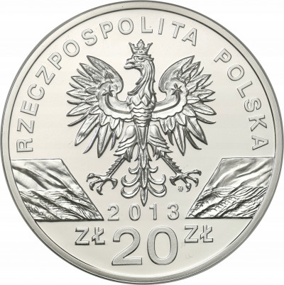 20 złotych 2013 Żubr