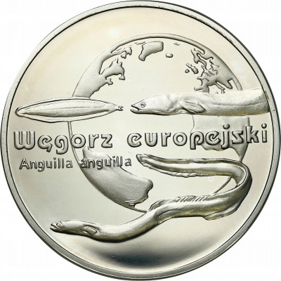 III RP. 20 złotych 2003 Węgorz Europejski