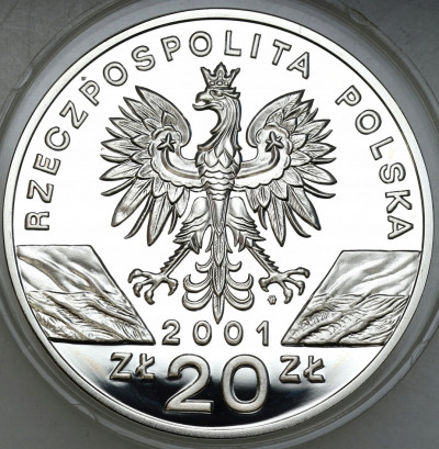 20 złotych 2001 Paź Królowej