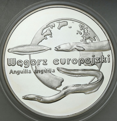 III RP 20 złotych 2003 Węgorz Europejski