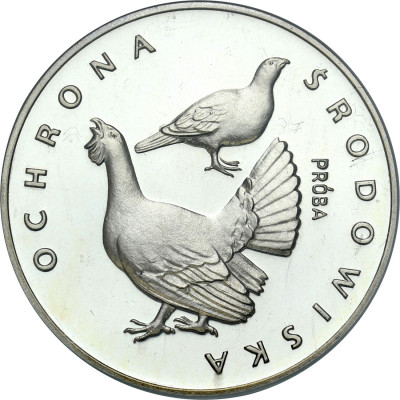 PRÓBA srebro 100 złotych 1980 Głuszce – rzadsze
