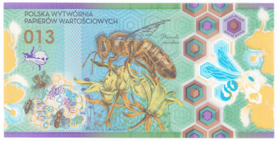 Pszczoła Miodna 013 - banknot testowy PWPW