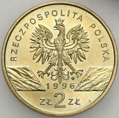 III RP 2 złote 1996 Jeż - PIĘKNA