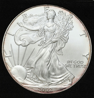 USA 1 dolar 2002 - UNCJA SREBRA