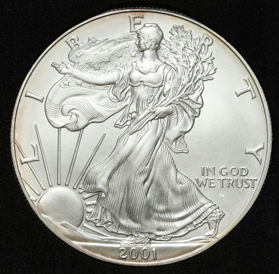 USA 1 dolar 2001 - UNCJA SREBRA