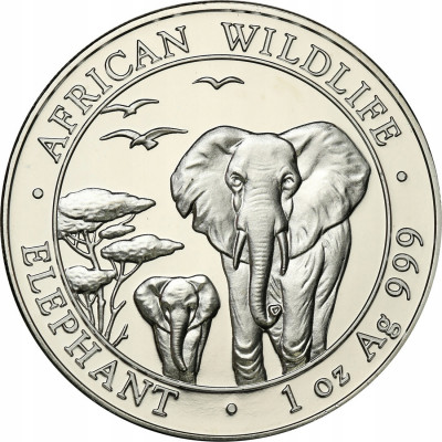 Somalia 100 szylingów 2015 słoń SREBRO uncja