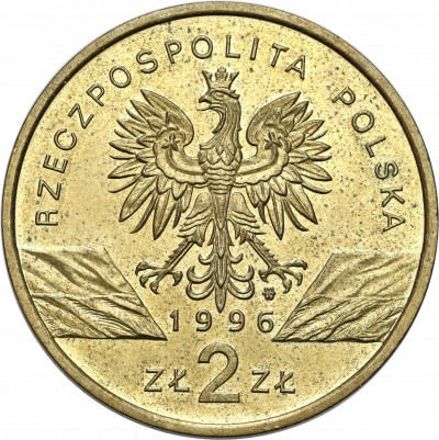 III RP 2 złote 1996 Jeż - PIĘKNA