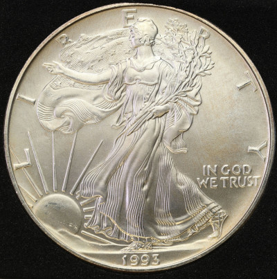 USA 1 dolar 1993 - UNCJA SREBRA