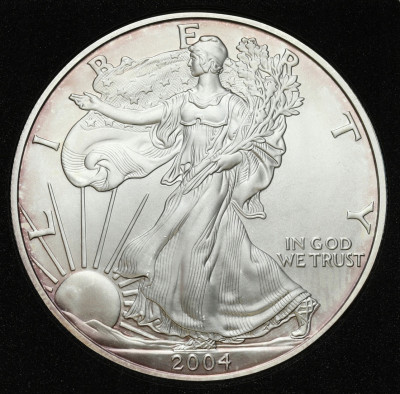 USA 1 dolar 2004 - UNCJA SREBRA