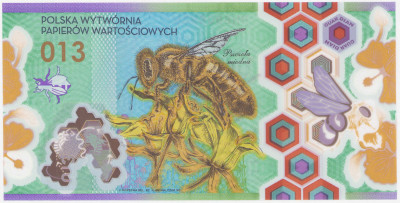 PWPW banknot testowy 2012 (plastik) pszczoła 013