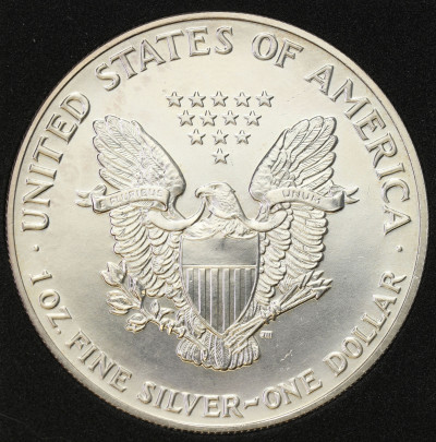 USA 1 dolar 1992 - UNCJA SREBRA