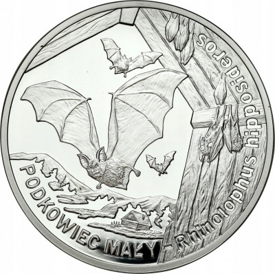 20 złotych 2010 Nietoperz Podkowiec Mały SREBRO