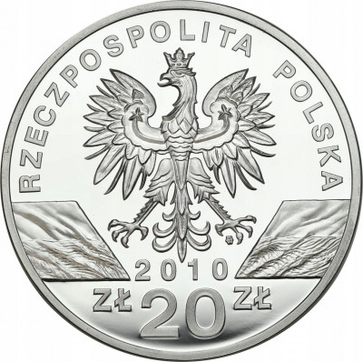 20 złotych 2010 Nietoperz Podkowiec Mały SREBRO
