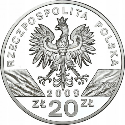 Polska 20 złotych 2009 Jaszczurka Zielona