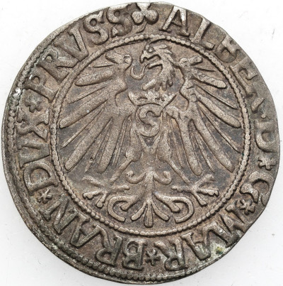 Prusy Książęce Albert Hohenzollern 1543, Królewiec
